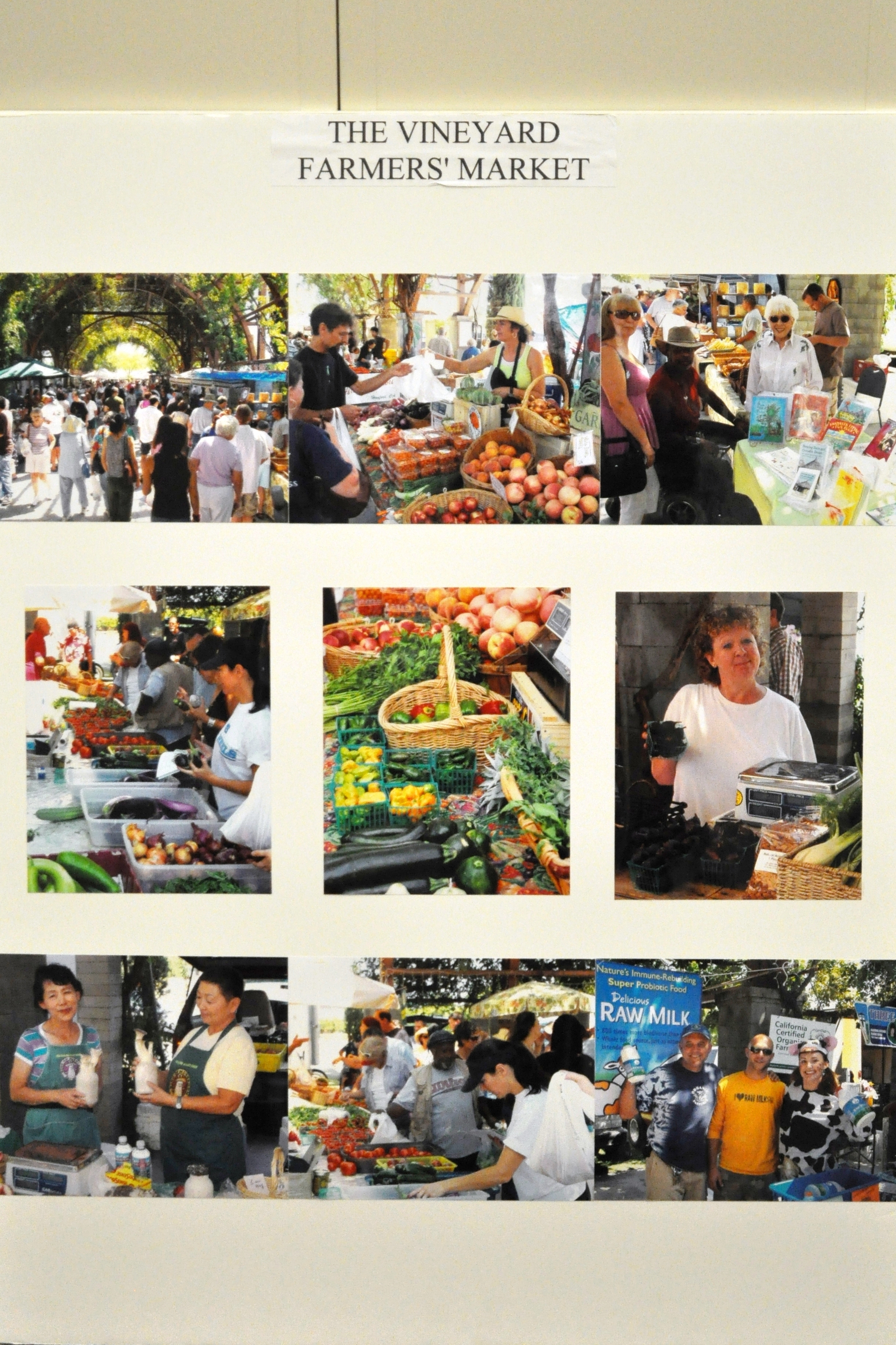 The Vineyard Farmers' Market.JPG