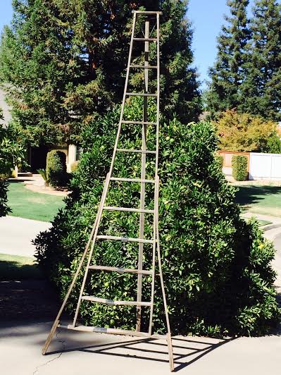 Ladder