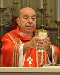 Red Mass Only