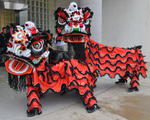 Lion Dragon Dance Team & Dragon Dance Team (FCCAAC)