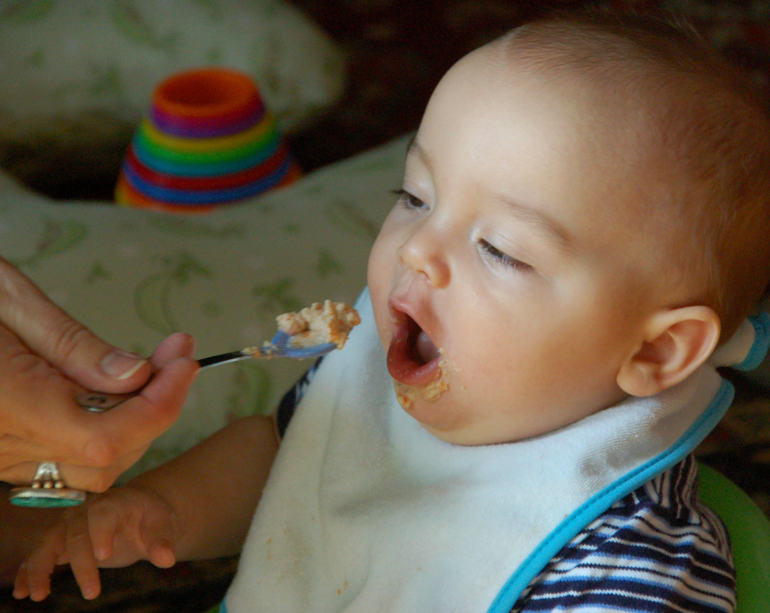 dsc_2197 8x10 ++.jpg