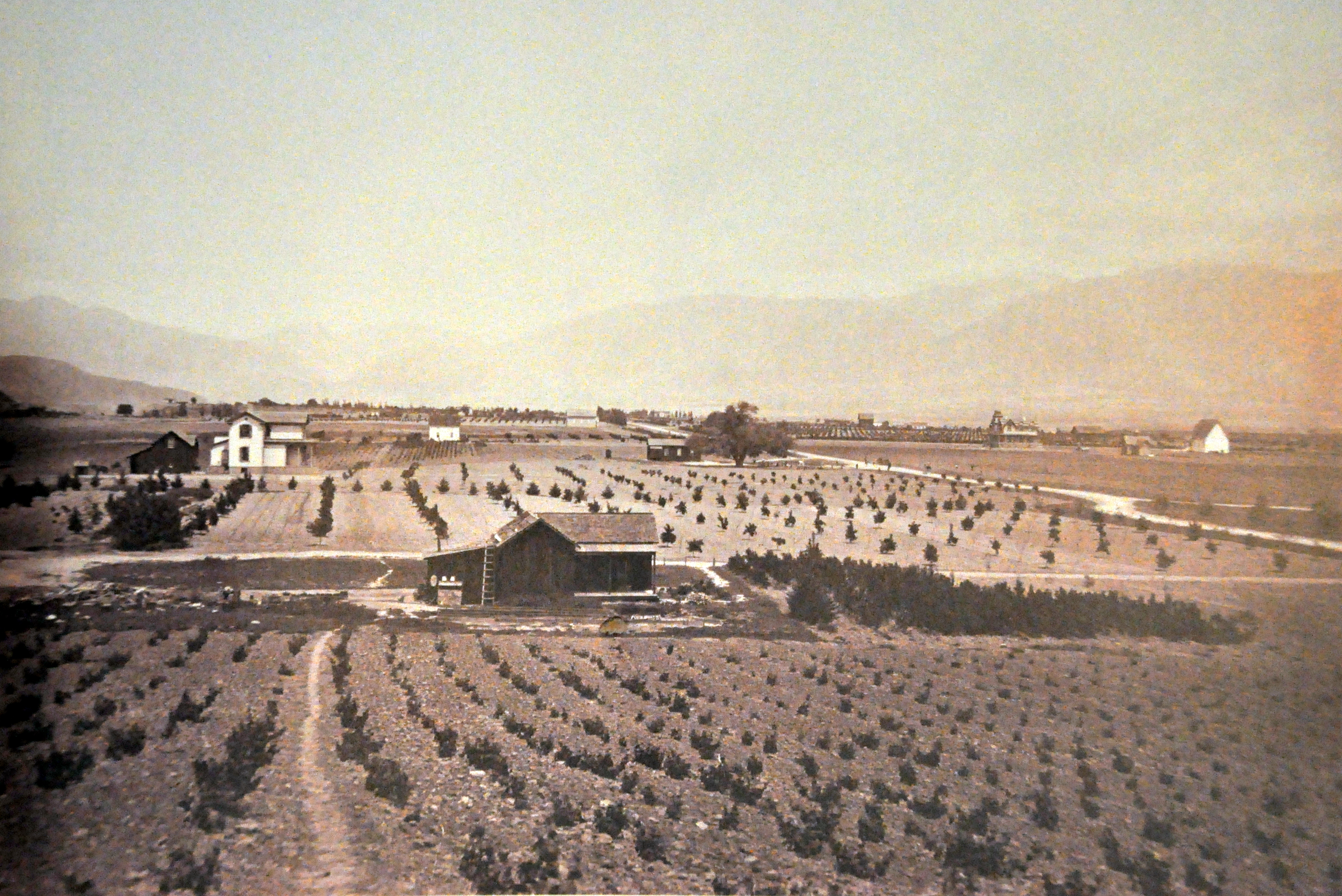 #33-Indiana Colony, Pasadena 1880 4x6_0016