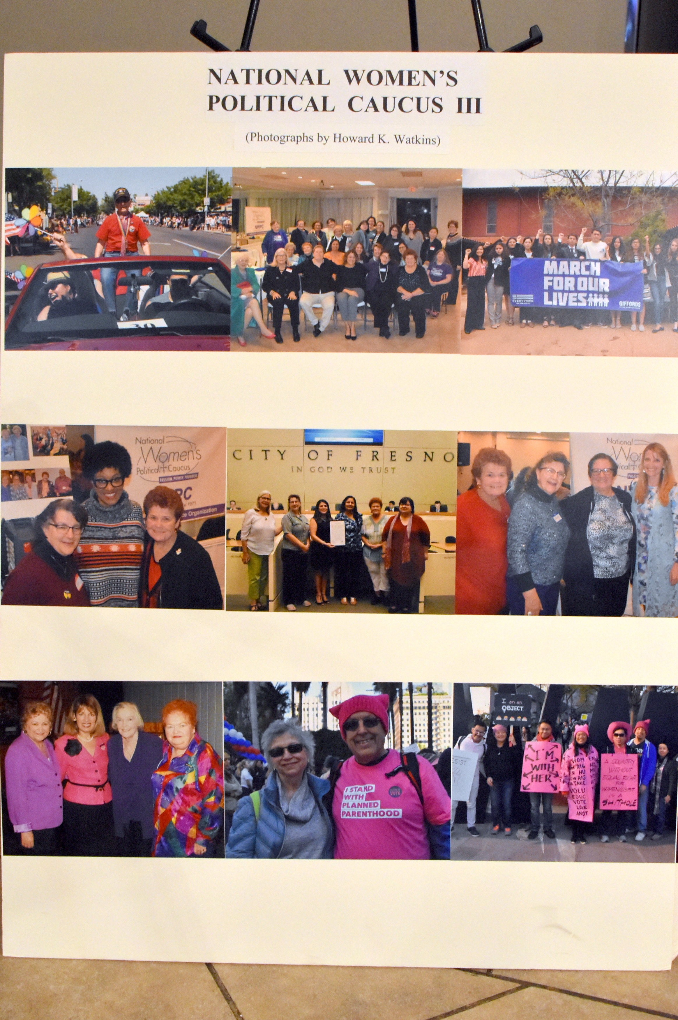 National Women's Political Caucus III