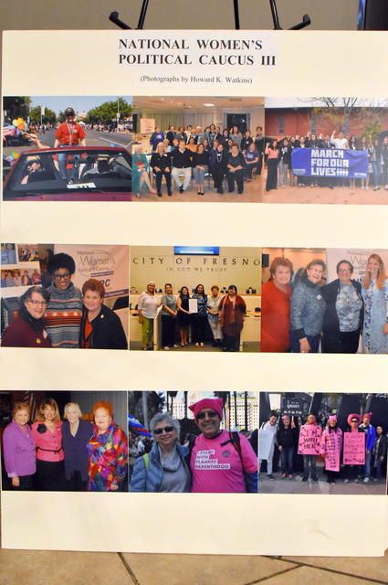 National Women's Political Caucus III