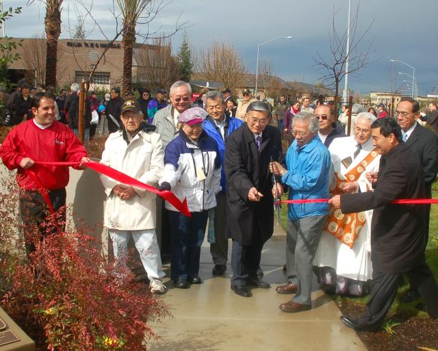 dsc_9601 8x10 CU.jpg